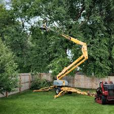 Artificial Turf Installation in Wildomar, CA